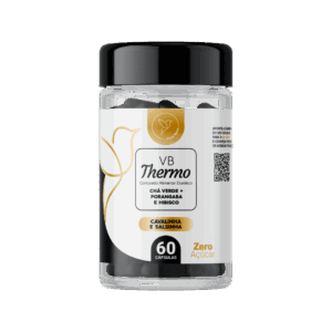 VB THERMO